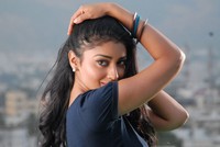 Shriya Beautiful Photos